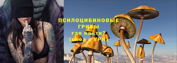 дживик Горняк