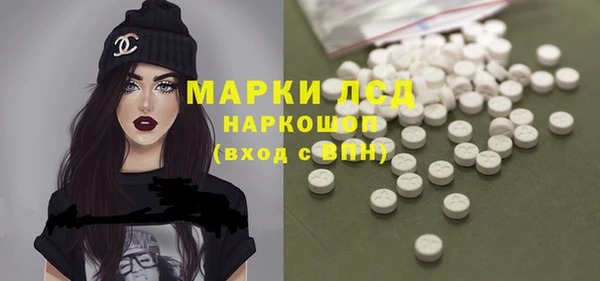 спиды Гусев