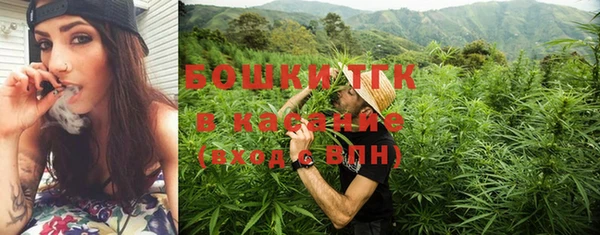 дживик Горняк