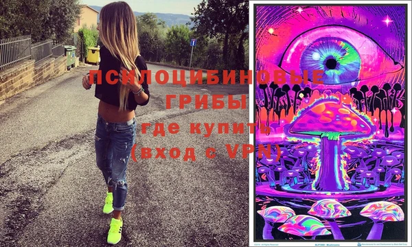 спиды Гусев
