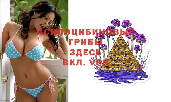 mdma Гусиноозёрск