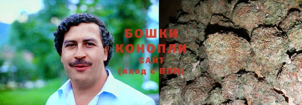 дживик Горняк
