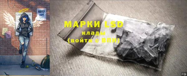 дживик Горняк